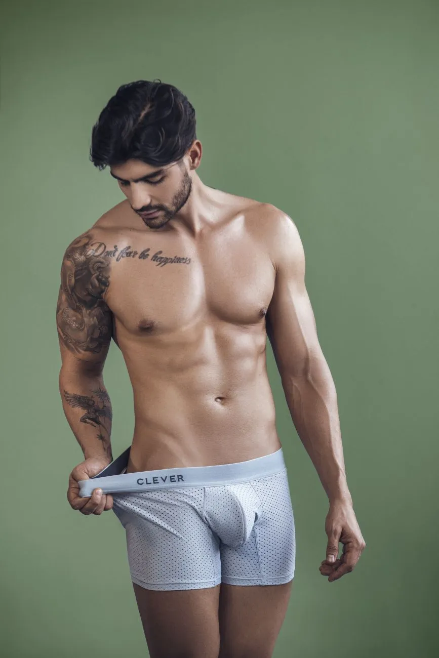 Clever Herrenunterwäsche Clever 1260 Euphoria Boxershorts Farbe Grau