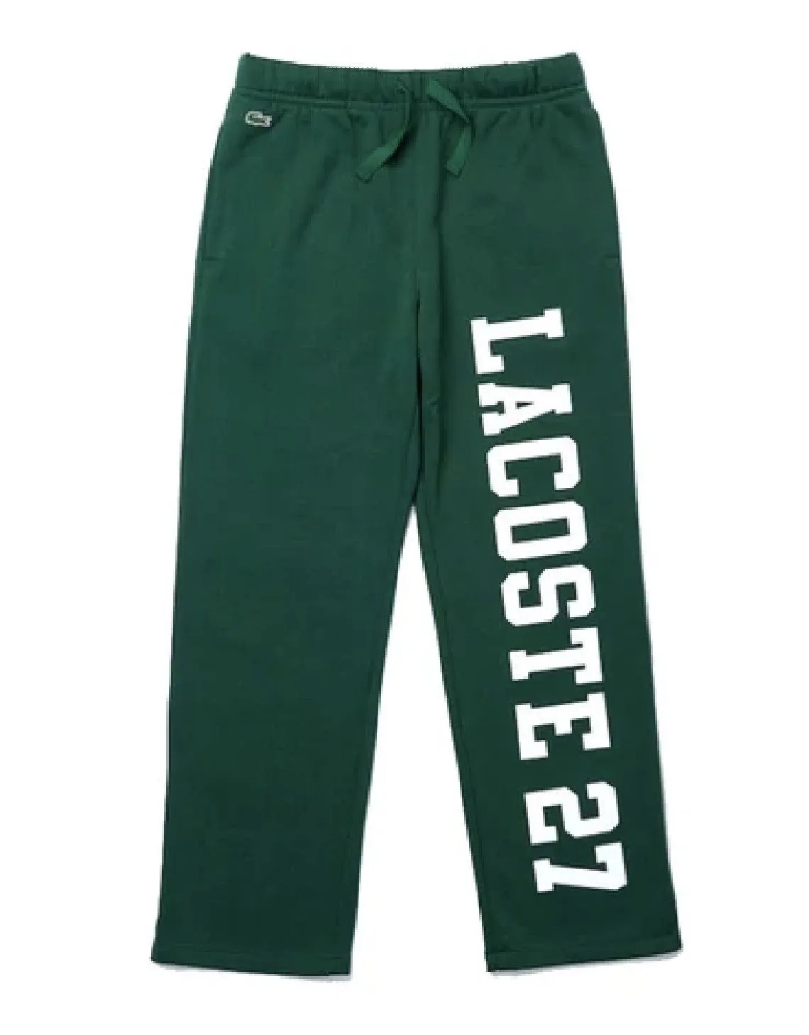 Herren 27 Druck Jogginghose Grün Patagonia Kleidung